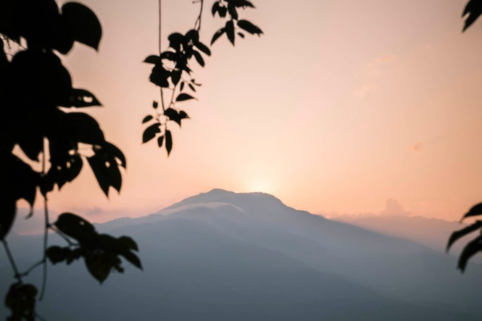 Sunset Nature